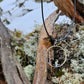 Korpitulilla